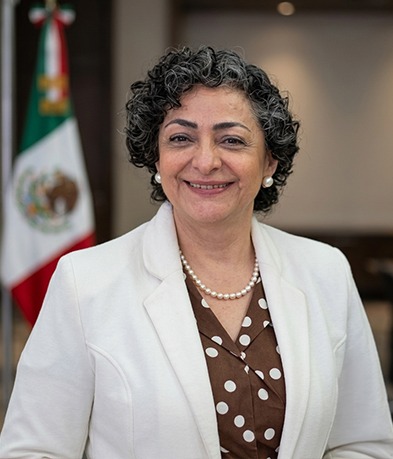 Comisionado Presidencial Adjunto México