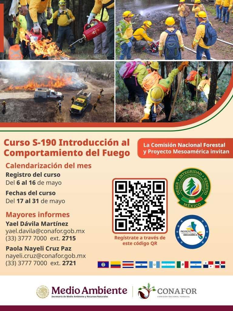 Imagen Noticia 2 - Medio