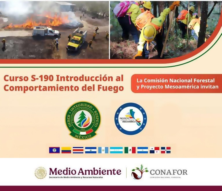 Imagen Noticia 1 - Superior