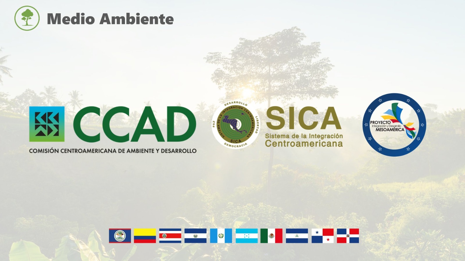Imagen Noticia 1