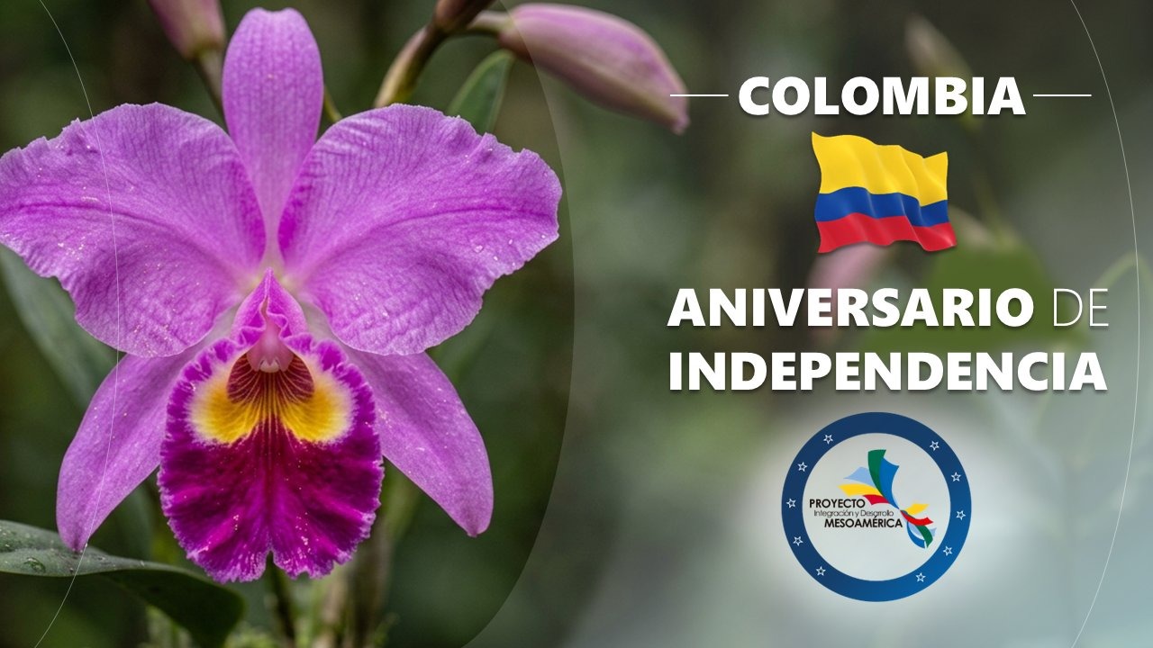 Imagen Noticia 4